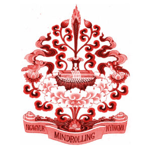 Announcement about the 30th of November