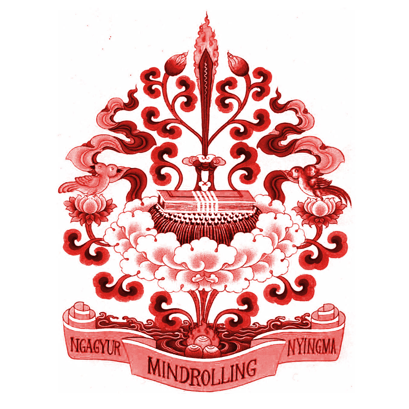 Announcement about the 30th of November